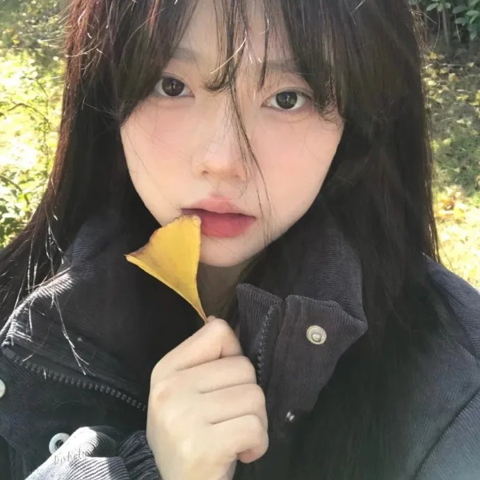分道不扬镳